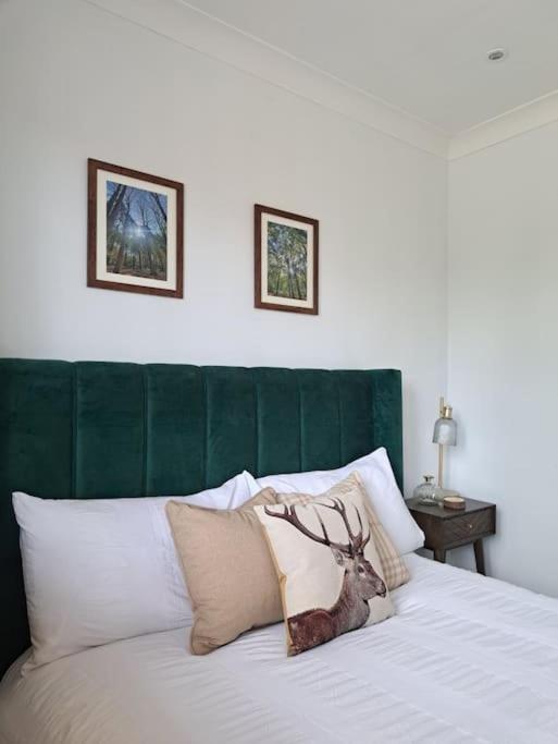 Beachwood House, Serviced Accommodation 斯肯索普 外观 照片
